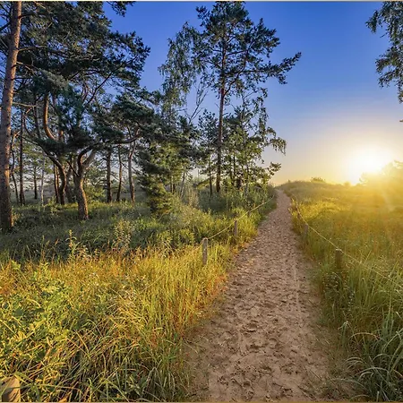 Bansin Seepferdchen 7 *