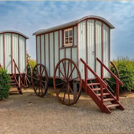 Bansin Seepferdchen 7 *